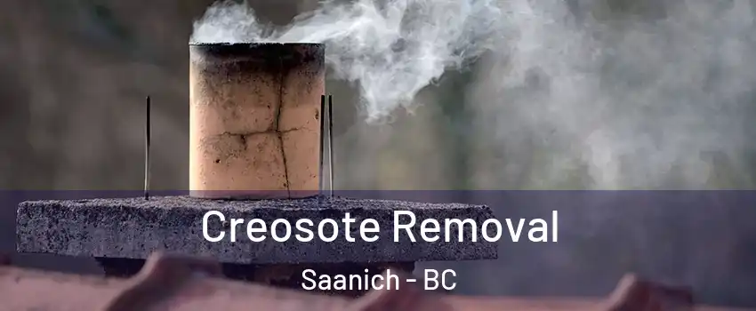Creosote Removal Saanich - BC