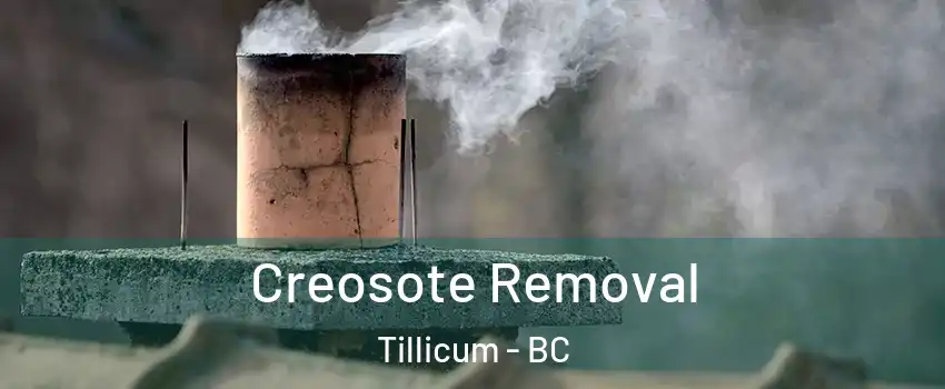  Creosote Removal Tillicum - BC