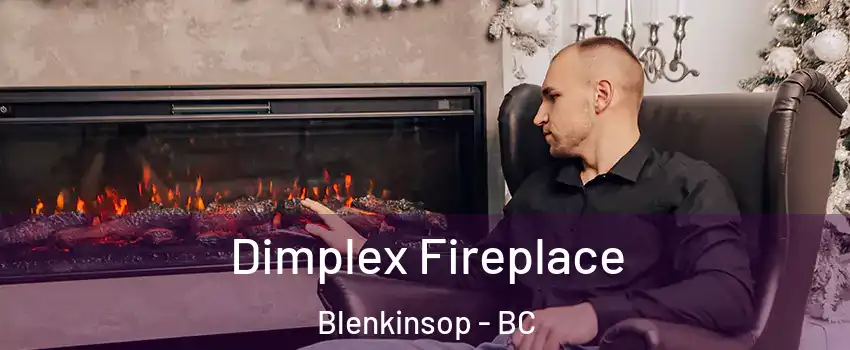  Dimplex Fireplace Blenkinsop - BC
