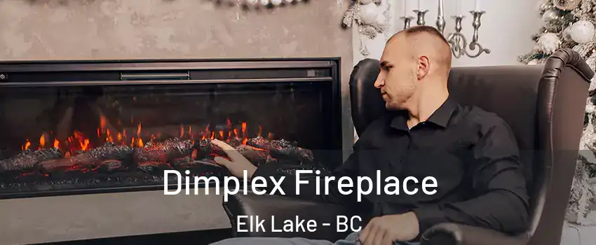  Dimplex Fireplace Elk Lake - BC