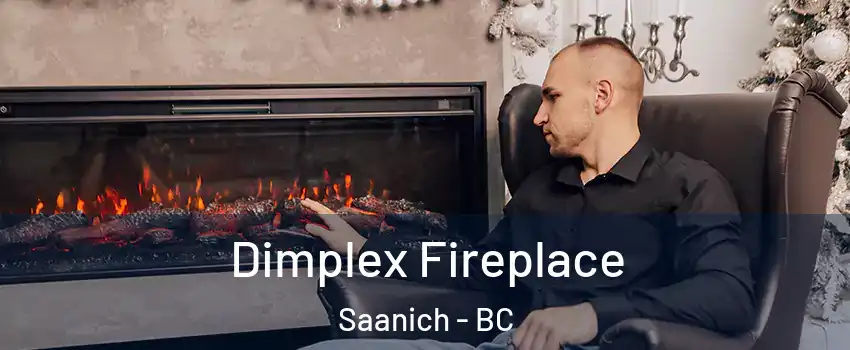  Dimplex Fireplace Saanich - BC