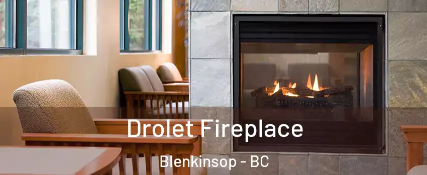  Drolet Fireplace Blenkinsop - BC