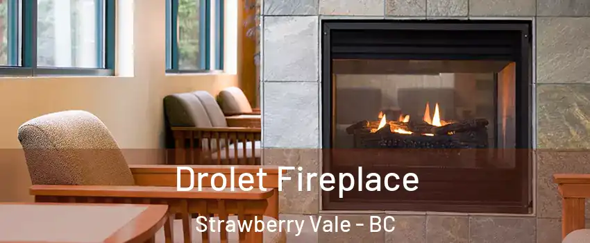  Drolet Fireplace Strawberry Vale - BC