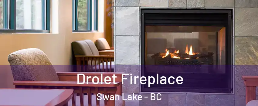  Drolet Fireplace Swan Lake - BC