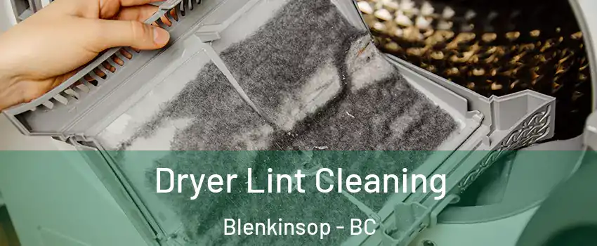 Dryer Lint Cleaning Blenkinsop - BC