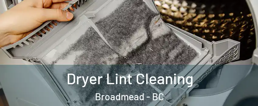  Dryer Lint Cleaning Broadmead - BC