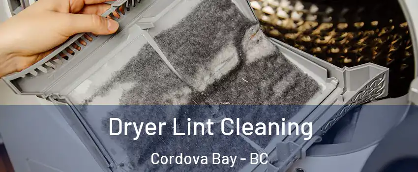 Dryer Lint Cleaning Cordova Bay - BC