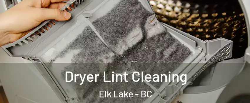 Dryer Lint Cleaning Elk Lake - BC