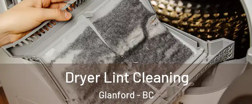  Dryer Lint Cleaning Glanford - BC