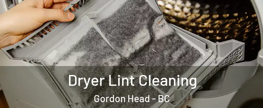  Dryer Lint Cleaning Gordon Head - BC