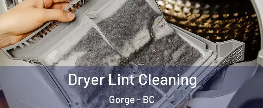  Dryer Lint Cleaning Gorge - BC