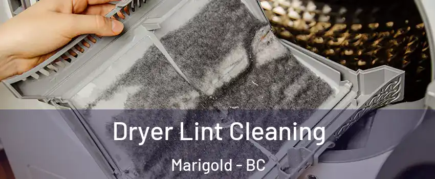  Dryer Lint Cleaning Marigold - BC