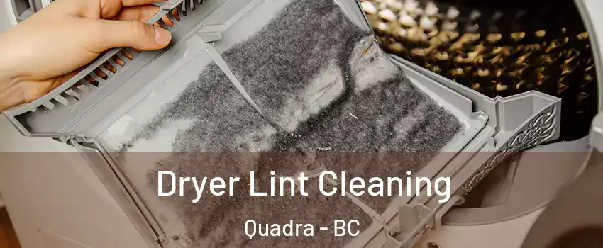  Dryer Lint Cleaning Quadra - BC
