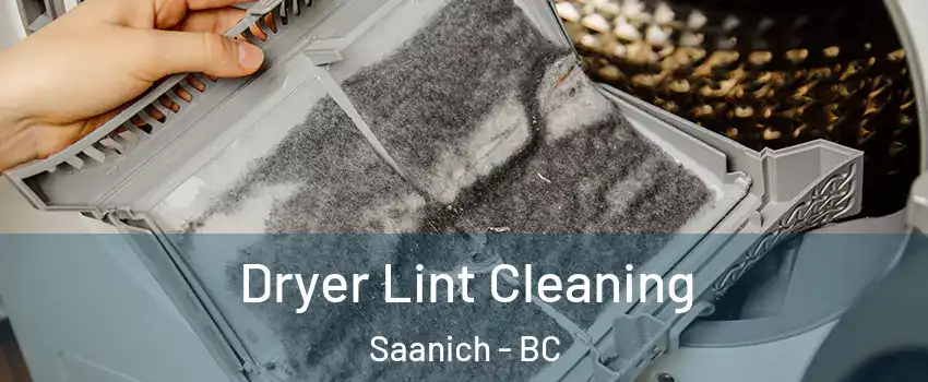  Dryer Lint Cleaning Saanich - BC