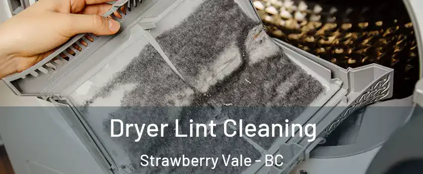  Dryer Lint Cleaning Strawberry Vale - BC