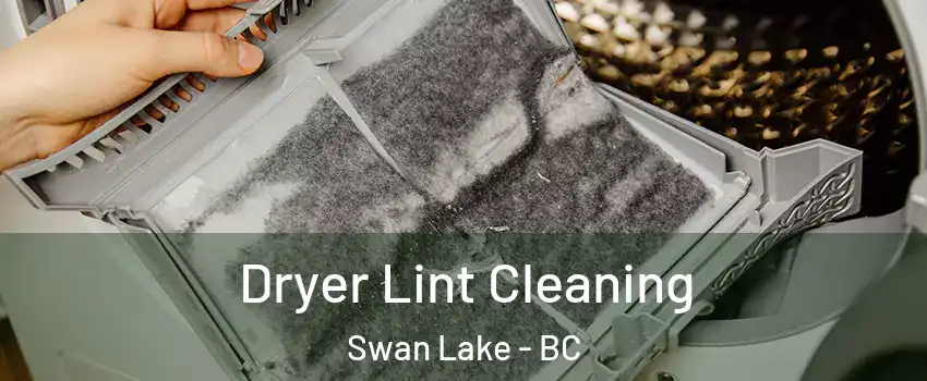 Dryer Lint Cleaning Swan Lake - BC