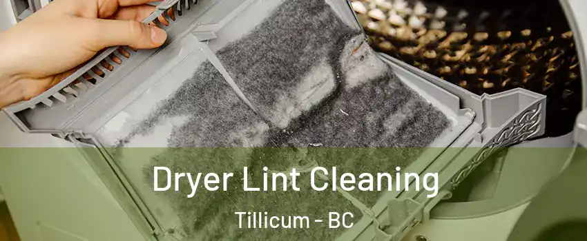 Dryer Lint Cleaning Tillicum - BC