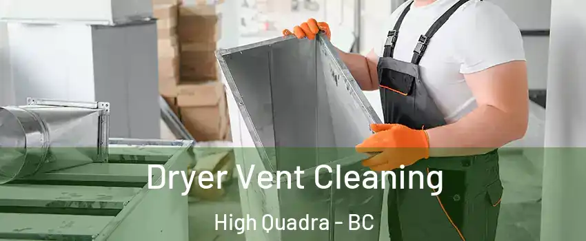  Dryer Vent Cleaning High Quadra - BC