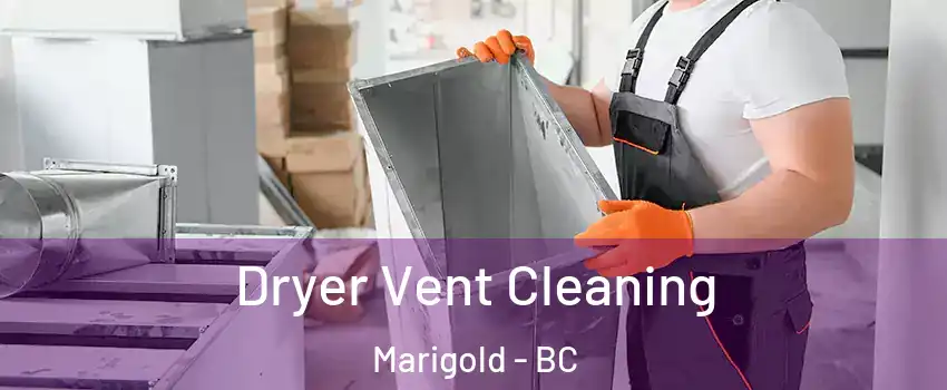 Dryer Vent Cleaning Marigold - BC
