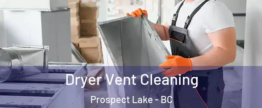  Dryer Vent Cleaning Prospect Lake - BC