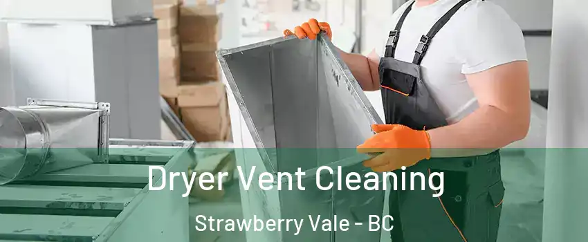  Dryer Vent Cleaning Strawberry Vale - BC