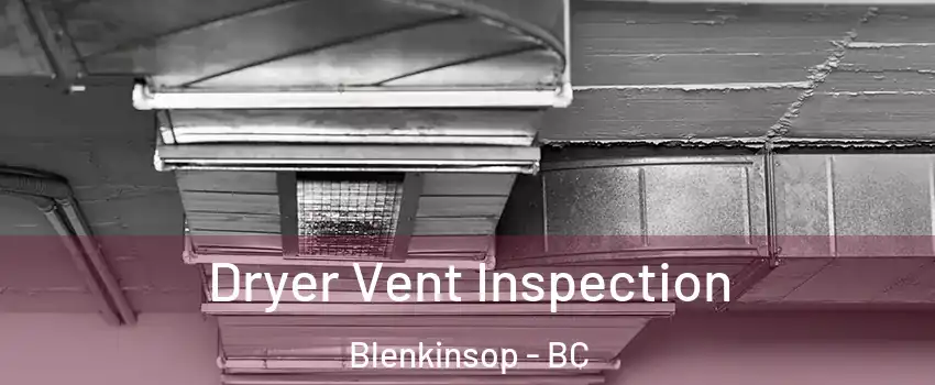  Dryer Vent Inspection Blenkinsop - BC