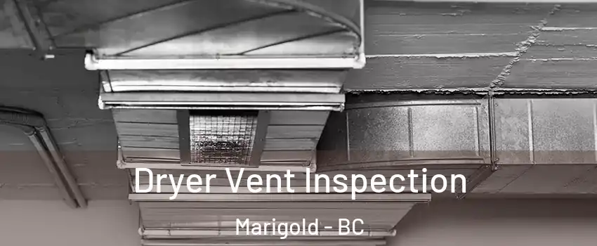  Dryer Vent Inspection Marigold - BC