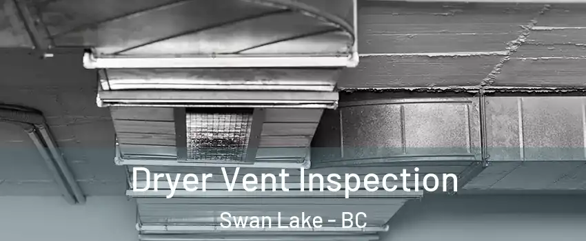  Dryer Vent Inspection Swan Lake - BC