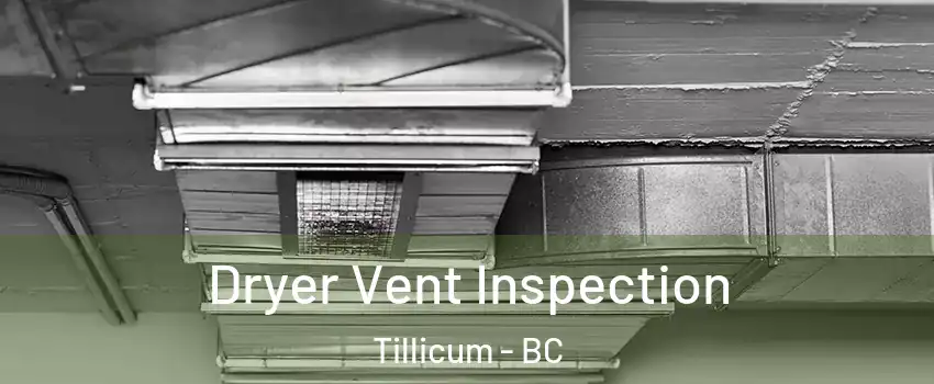  Dryer Vent Inspection Tillicum - BC