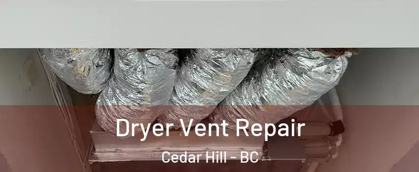  Dryer Vent Repair Cedar Hill - BC