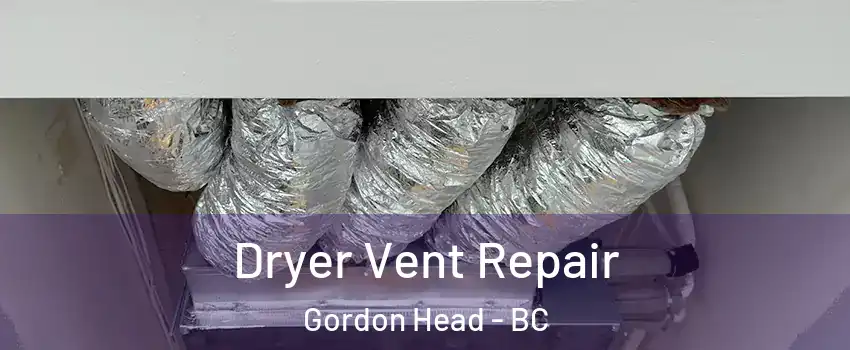  Dryer Vent Repair Gordon Head - BC