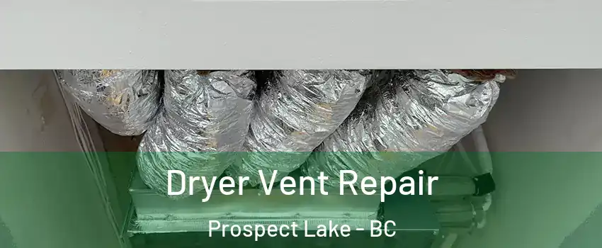  Dryer Vent Repair Prospect Lake - BC