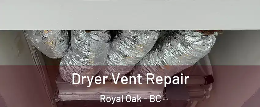 Dryer Vent Repair Royal Oak - BC
