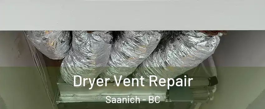  Dryer Vent Repair Saanich - BC