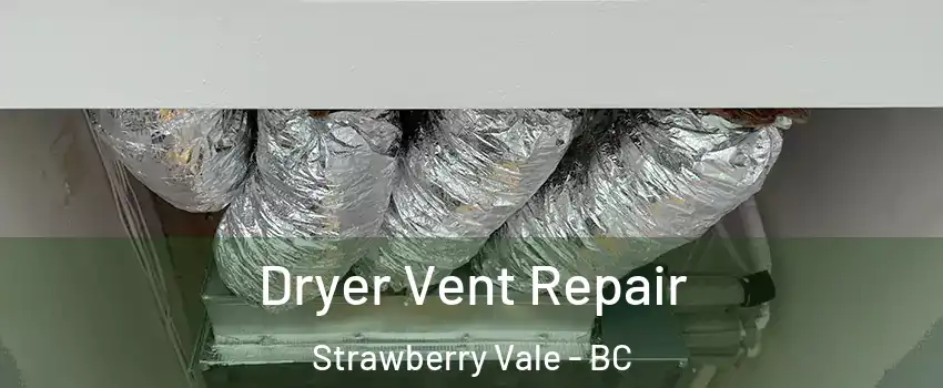 Dryer Vent Repair Strawberry Vale - BC