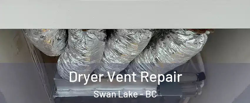  Dryer Vent Repair Swan Lake - BC