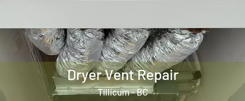  Dryer Vent Repair Tillicum - BC