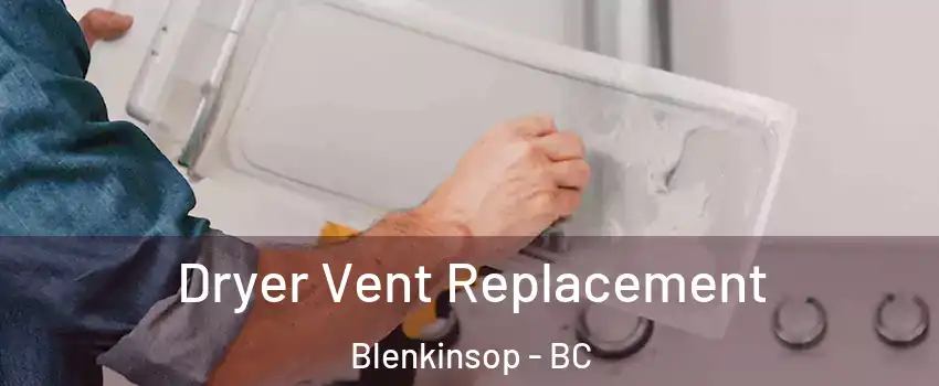  Dryer Vent Replacement Blenkinsop - BC