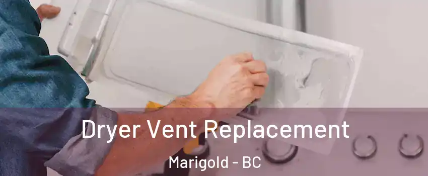  Dryer Vent Replacement Marigold - BC