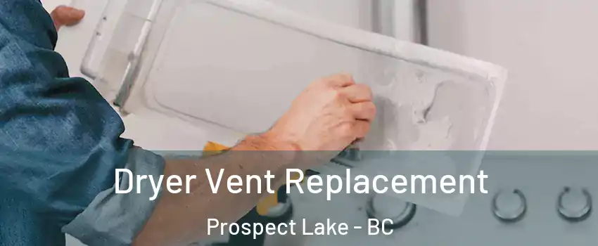  Dryer Vent Replacement Prospect Lake - BC