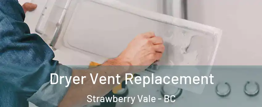 Dryer Vent Replacement Strawberry Vale - BC