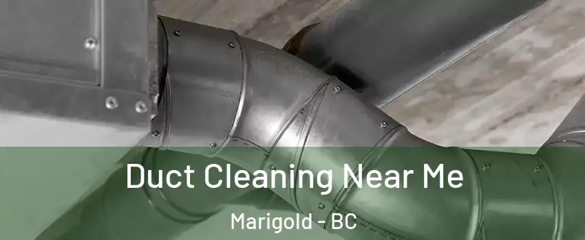Duct Cleaning Near Me Marigold - BC