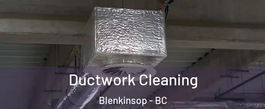  Ductwork Cleaning Blenkinsop - BC