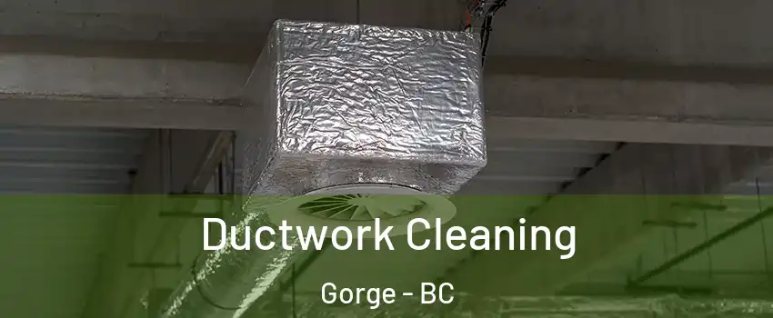 Ductwork Cleaning Gorge - BC