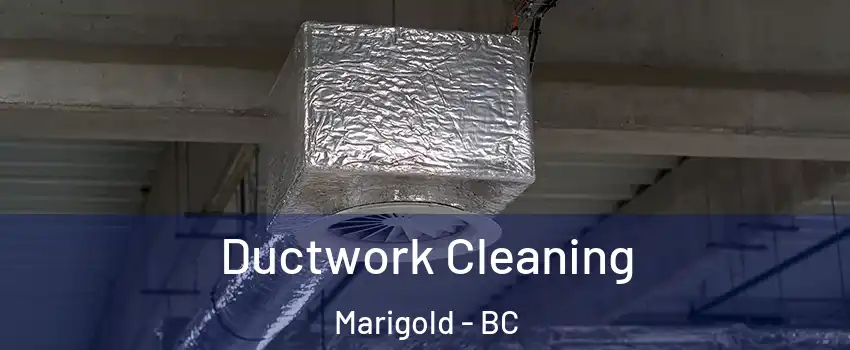  Ductwork Cleaning Marigold - BC