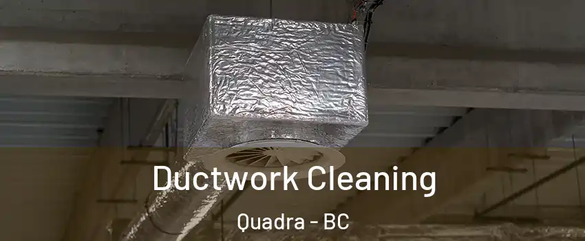 Ductwork Cleaning Quadra - BC