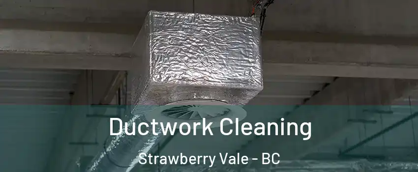Ductwork Cleaning Strawberry Vale - BC