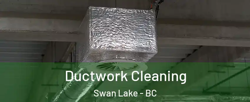 Ductwork Cleaning Swan Lake - BC