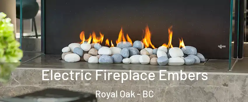  Electric Fireplace Embers Royal Oak - BC