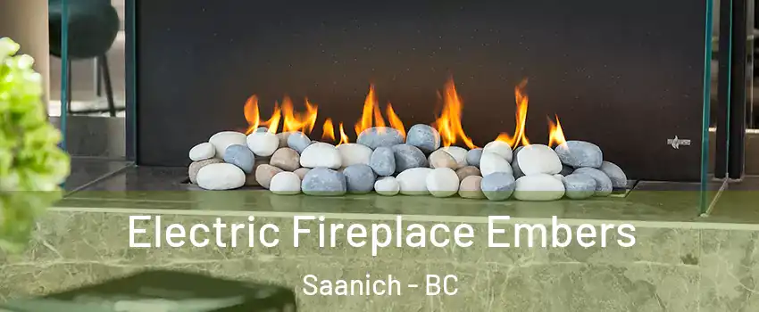  Electric Fireplace Embers Saanich - BC